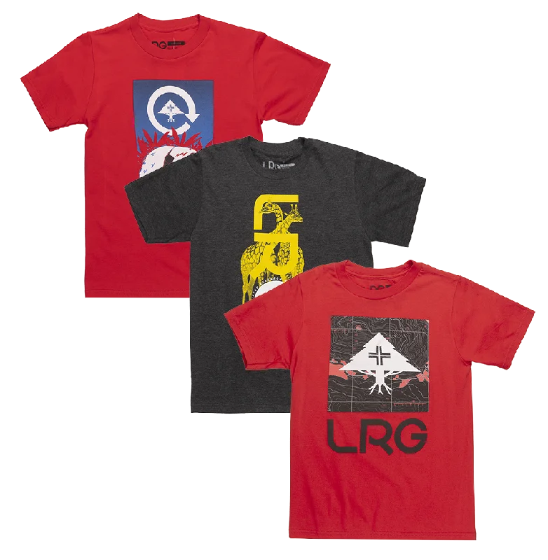 Men’s short-sleeve pelt tees-BOYS LRG ASSORTED TEES ASST - LRGST11923B